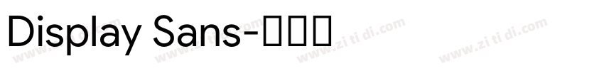 Display Sans字体转换 Display Sans字体转换